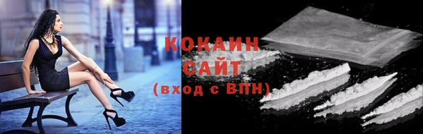 прущие грибы Гусев